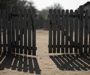 Pies uratowany w Rawiczu. Jakie konsekwencje czekają właściciela?