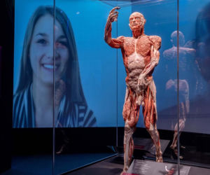 Body Worlds
