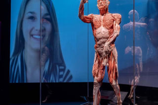 Body Worlds
