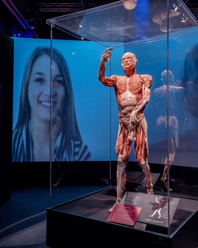Body Worlds
