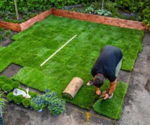 Murator Ogroduje, realizacje