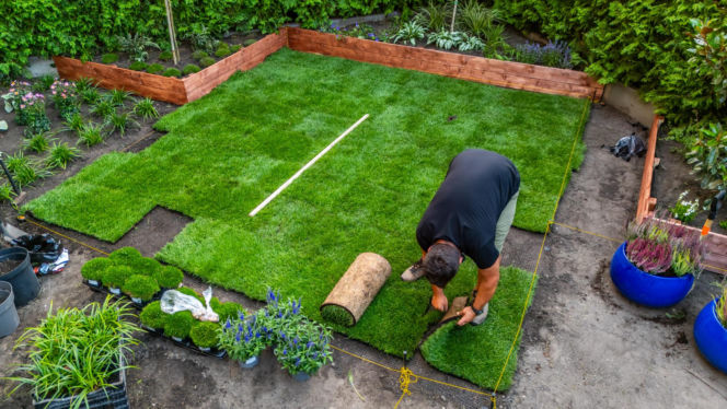 Murator Ogroduje, realizacje