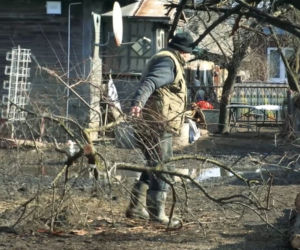 Rolnicy. Podlasie. Andrzej: To wszystko poobcinaj! Na łyso zrób!. Porządkowanie podwórka w Plutyczach