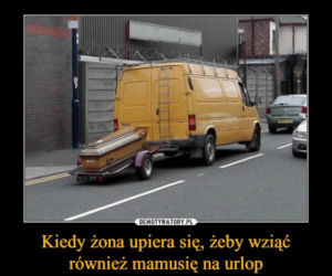 Tych memów o teściowych nie pokażesz mamie! Internauci nie mają litości