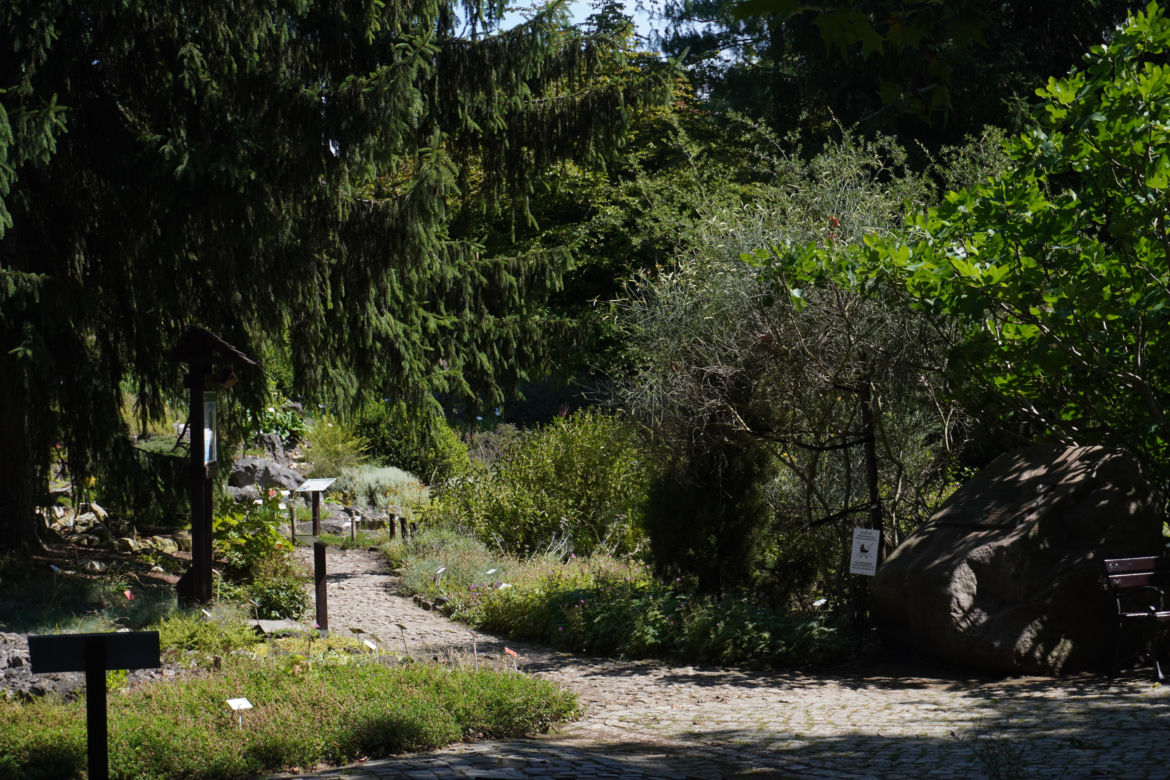 Ogród Botaniczny w Poznaniu 