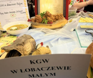 XX Dożynki Rybackie pod Lublinem. Goście ustawiali się w kolejce po rybne specjały