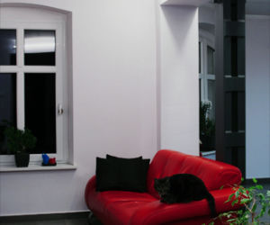Zdjęcie 6450