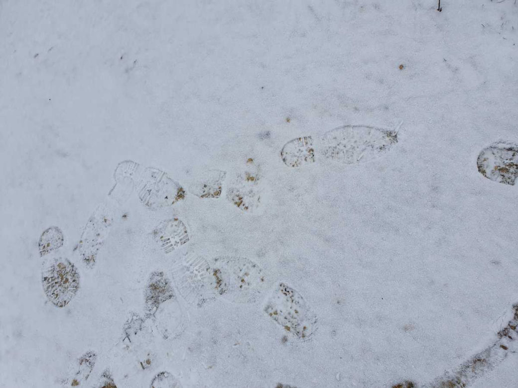 Złodziej jak z gangu Olsena! Zapomniał zatrzeć ślady zostawione na śniegu