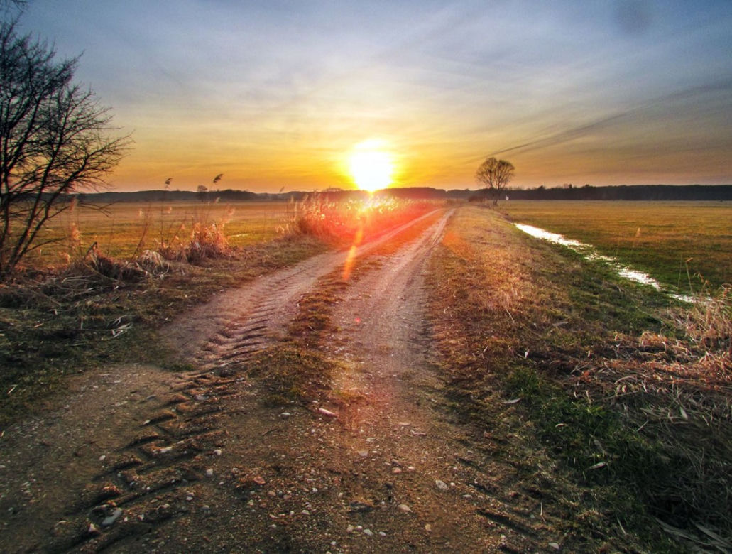 Wiosna na Podlasiu
