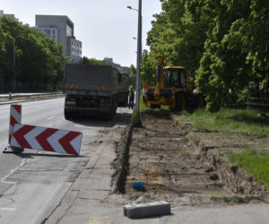 Wycinka drzew na Mokotowie. Mieszkańcy zbulwersowani, tramwajarze uspokajają
