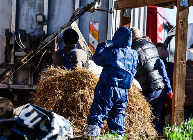 Horror koło Ostródy. Zwierzęta konały bez światła, wody i jedzenia