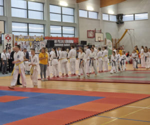 V Kyokushin Cup