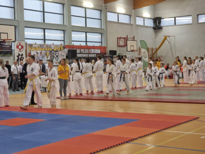 V Kyokushin Cup
