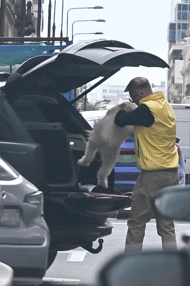 Chajzer kupił luksusowe auto dla psa