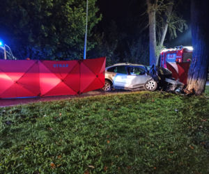 Śmiertelny wypadek na ul. Łęczyckiej w Elblągu. Auto roztrzaskało się na drzewie. Kierowca nie żyje [FOTO]