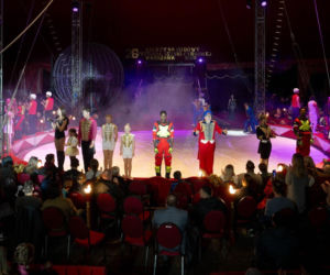 Festiwal w Cyrku Zalewski 2026. Oto zwycięzcy