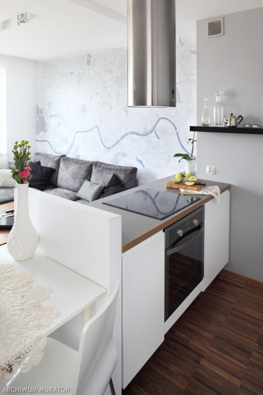 kuchnia i salon