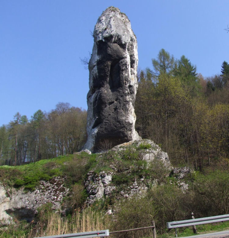 Maczuga Herkulesa w Ojcowskim Parku Narodowym