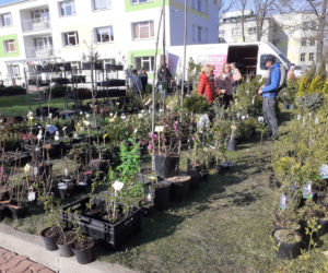 Fotorelacja z wydarzenia Wiosna na polu i w ogrodzie w Siedlcach w 2022 roku