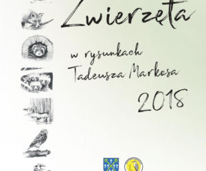 kalendarz powiatu