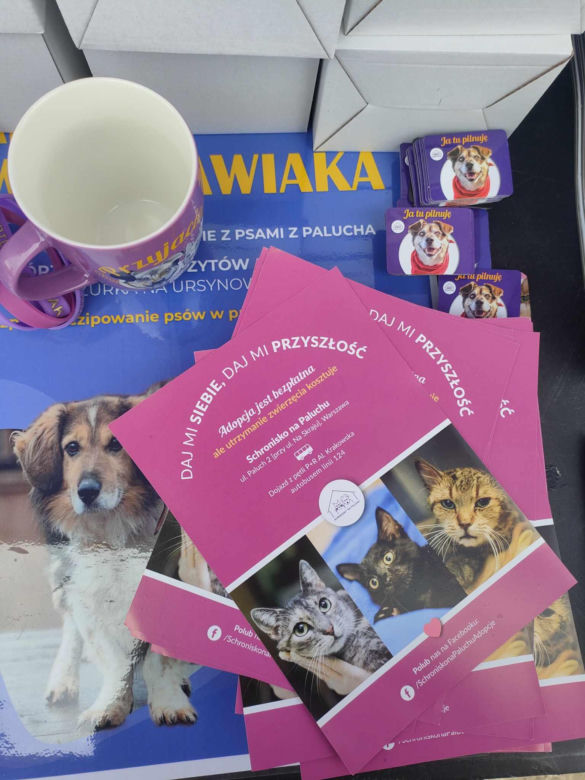 Adoptuj warszawiaka 17.03