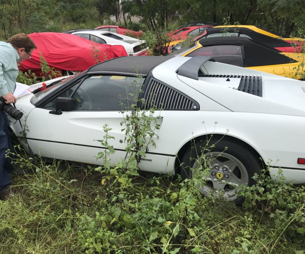 11 klasycznych Ferrari porzuconych w polu