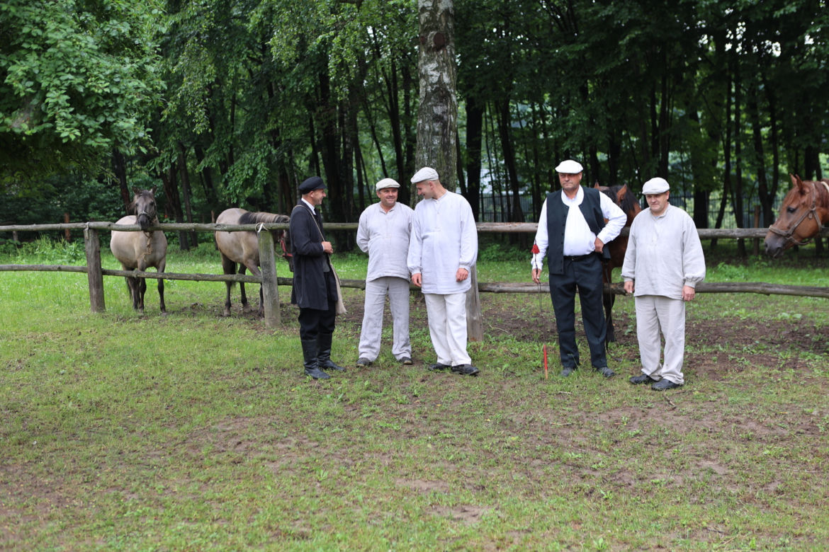 Jarmark koński w Muzeum Wsi Lubelskiej