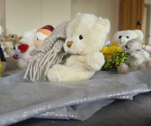 „Misiowe budowanie” w Pałacu Młodzieży w Bydgoszczy. Wystawa trwa!