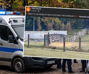 Dramat w ZOO Łączna. Sztab kryzysowy i dramatyczny apel. Co tam się dzieje? 