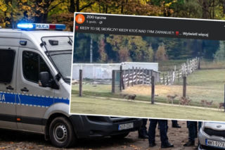 Dramat w ZOO Łączna. Sztab kryzysowy i dramatyczny apel. Co tam się dzieje? 