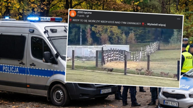 Dramat w ZOO Łączna. Sztab kryzysowy i dramatyczny apel. Co tam się dzieje? 
