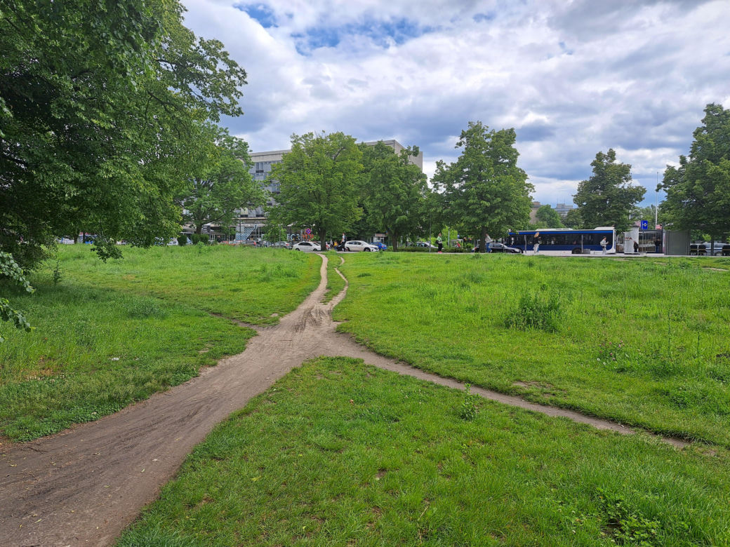 Błonia w Krakowie