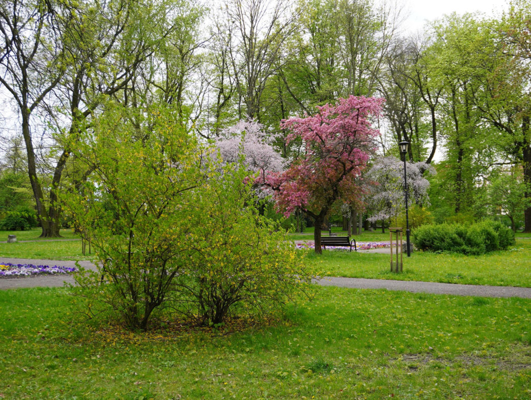 Park Bronowice wiosną 2024