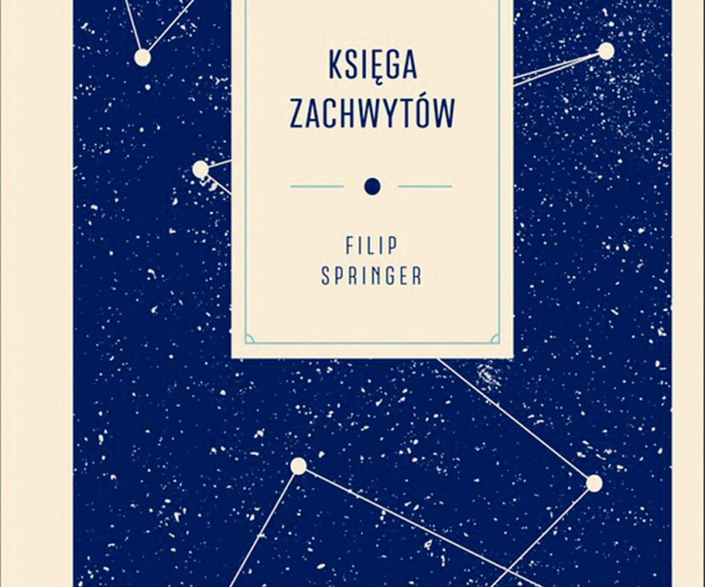 Filip Springer, Księga zachwytów