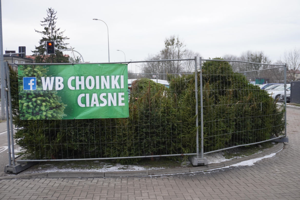 Ceny choinek w Białymstoku. Ile zapłacimy za drzewko w Podlaskiem?