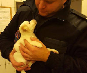 7 Mała Kropeczka szuka domu