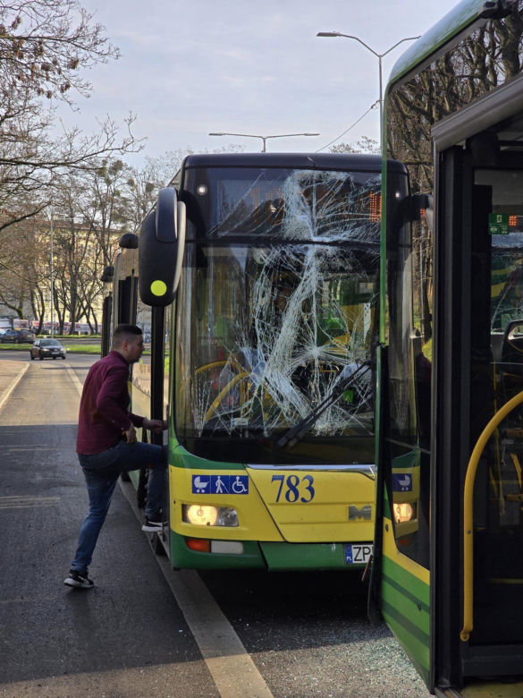 Zderzenie autobusów w Szczecinie 