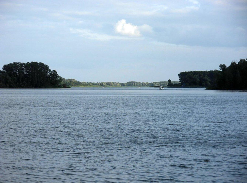 Gopło