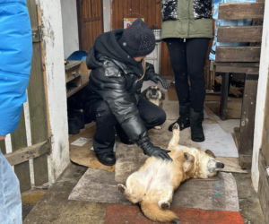 Joanna Krupa odwiedza schronisko dla zwierząt