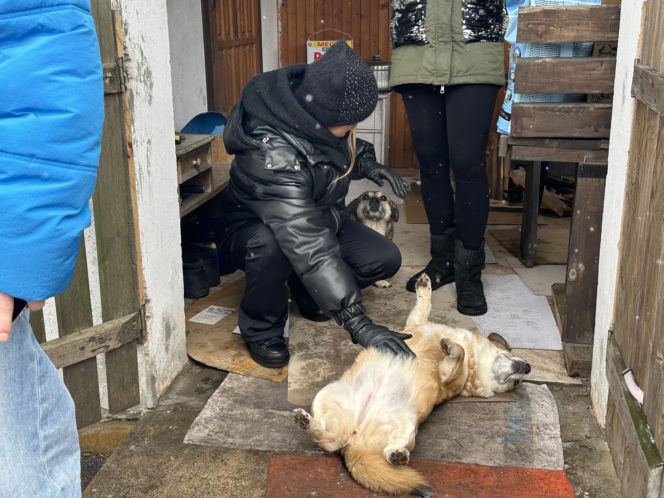 Joanna Krupa odwiedza schronisko dla zwierząt