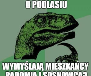Memy o Radomiu