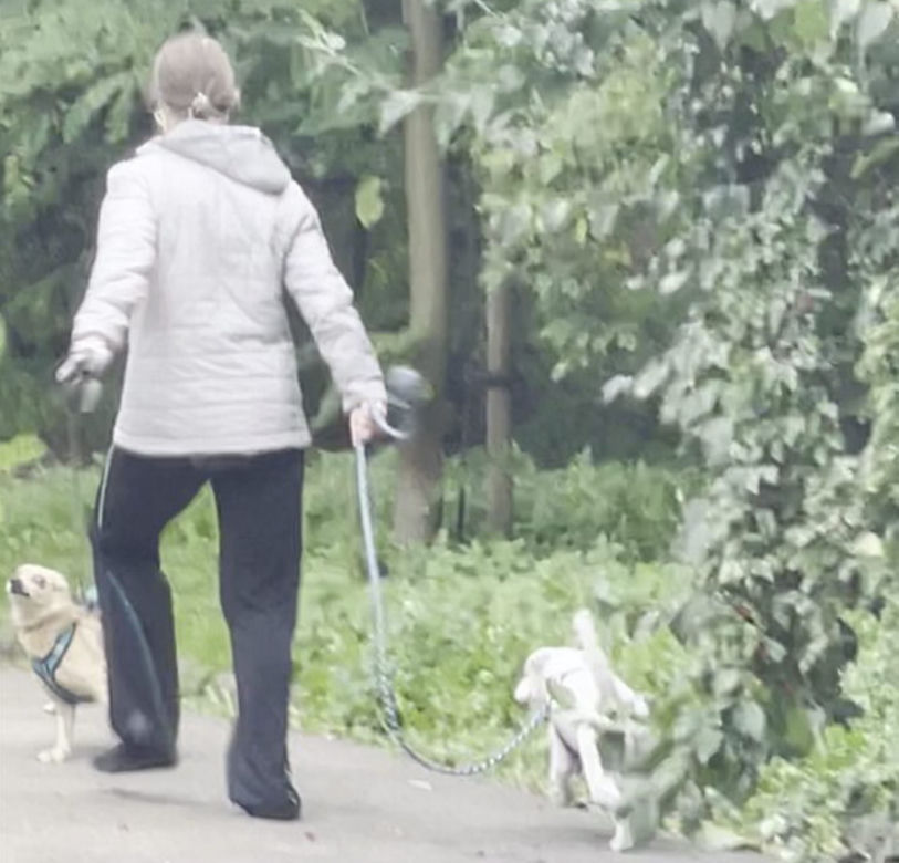 Bestialsko znęcała się nad psami. Po kopnięciu, zwierze wydało głośny pisk