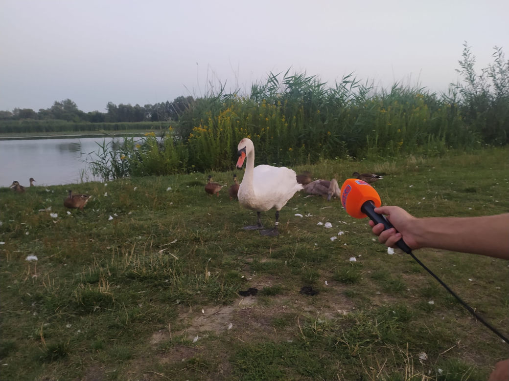 Eska Summer City w Rzeszowie. NOBO na Wodzie