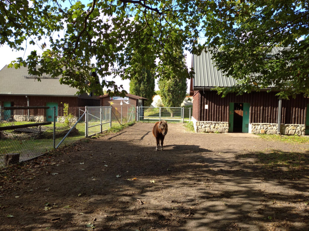 Ogród zoologiczny im. Stefana Milera w Zamościu