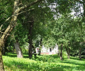 Niewyobrażalna zbrodnia we wsi na Lubelszczyźnie. Krzysztof zarąbał rodzinę