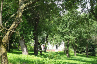 Niewyobrażalna zbrodnia we wsi na Lubelszczyźnie. Krzysztof zarąbał rodzinę