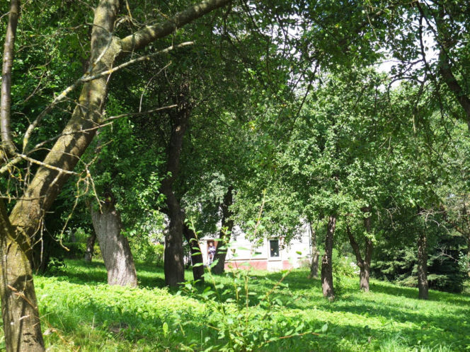 Niewyobrażalna zbrodnia we wsi na Lubelszczyźnie. Krzysztof zarąbał rodzinę