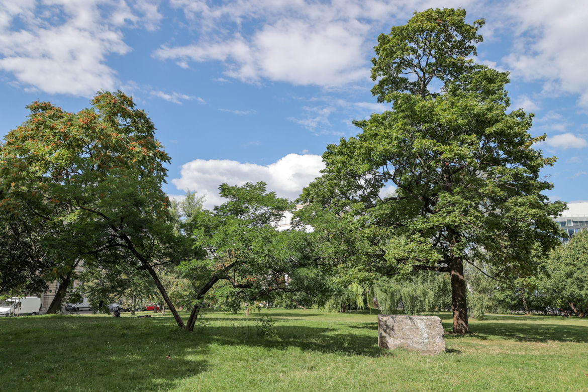 Park Saski