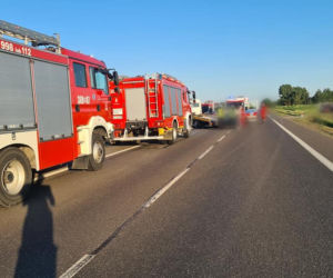 Dłużniewo. Motocykl roztrzaskany na kawałki! 33-latek zginął przez innego kierowcę [ZDJĘCIA]