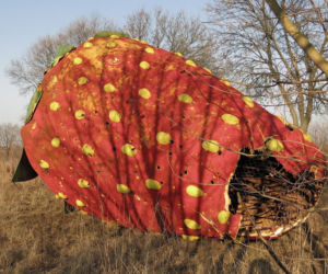 Gigantyczna truskawka leży w polu pod Warszawą